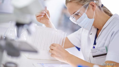 贵阳试管代生代怀全流程揭秘：从胚胎培养到成功分娩的真实经历